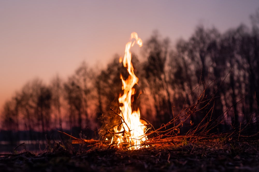 a fire at dusk in a forest