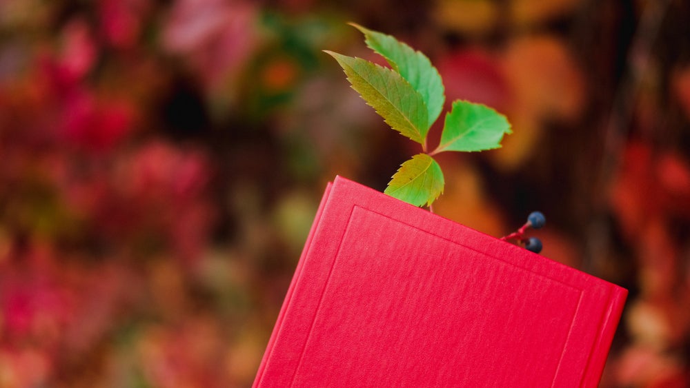 a leaf used as a bookmark in a red book