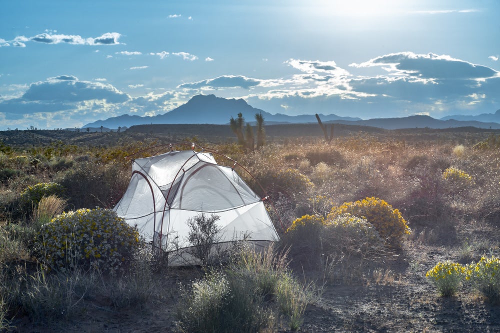 Dispersed Camping': How to Car Camp on Public Land