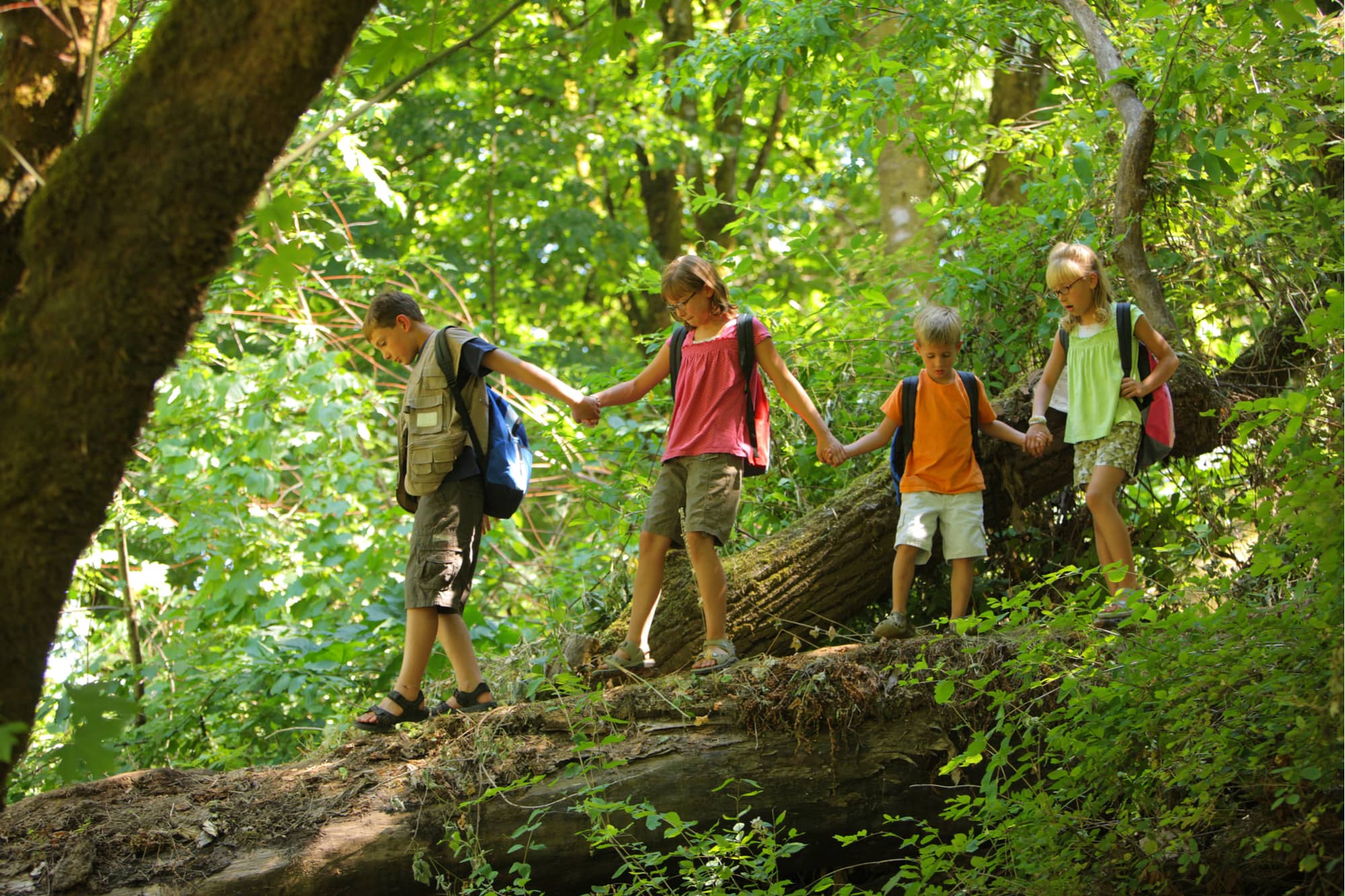 children in a line in the woods walking over a log