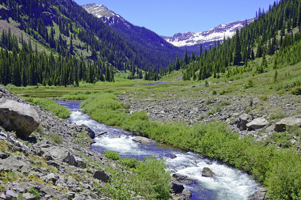 a stream in the elk range of colorado