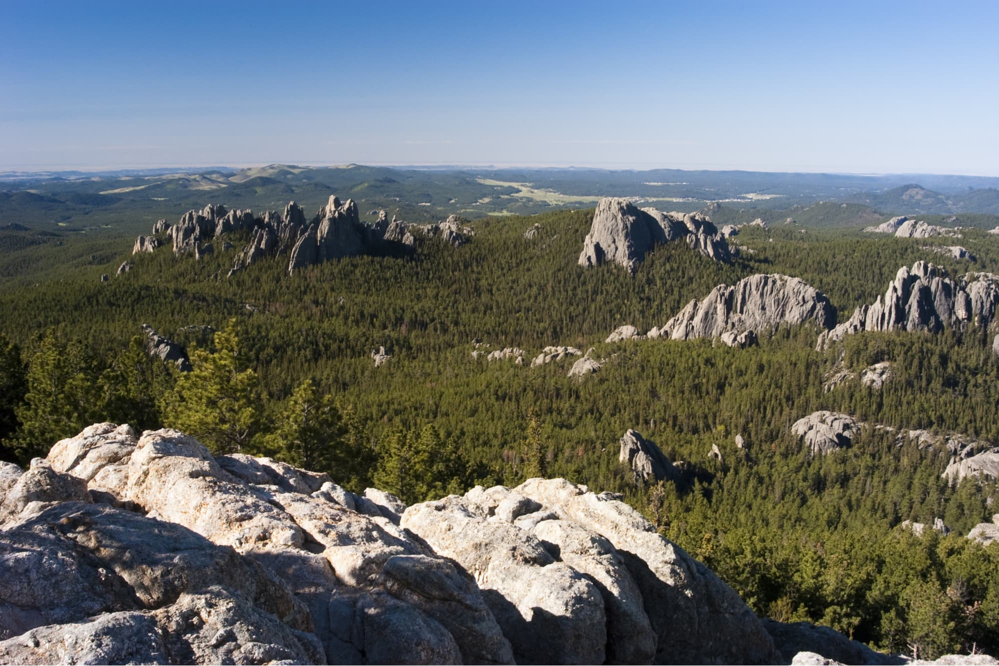 rocky hills in the black hills national forest
