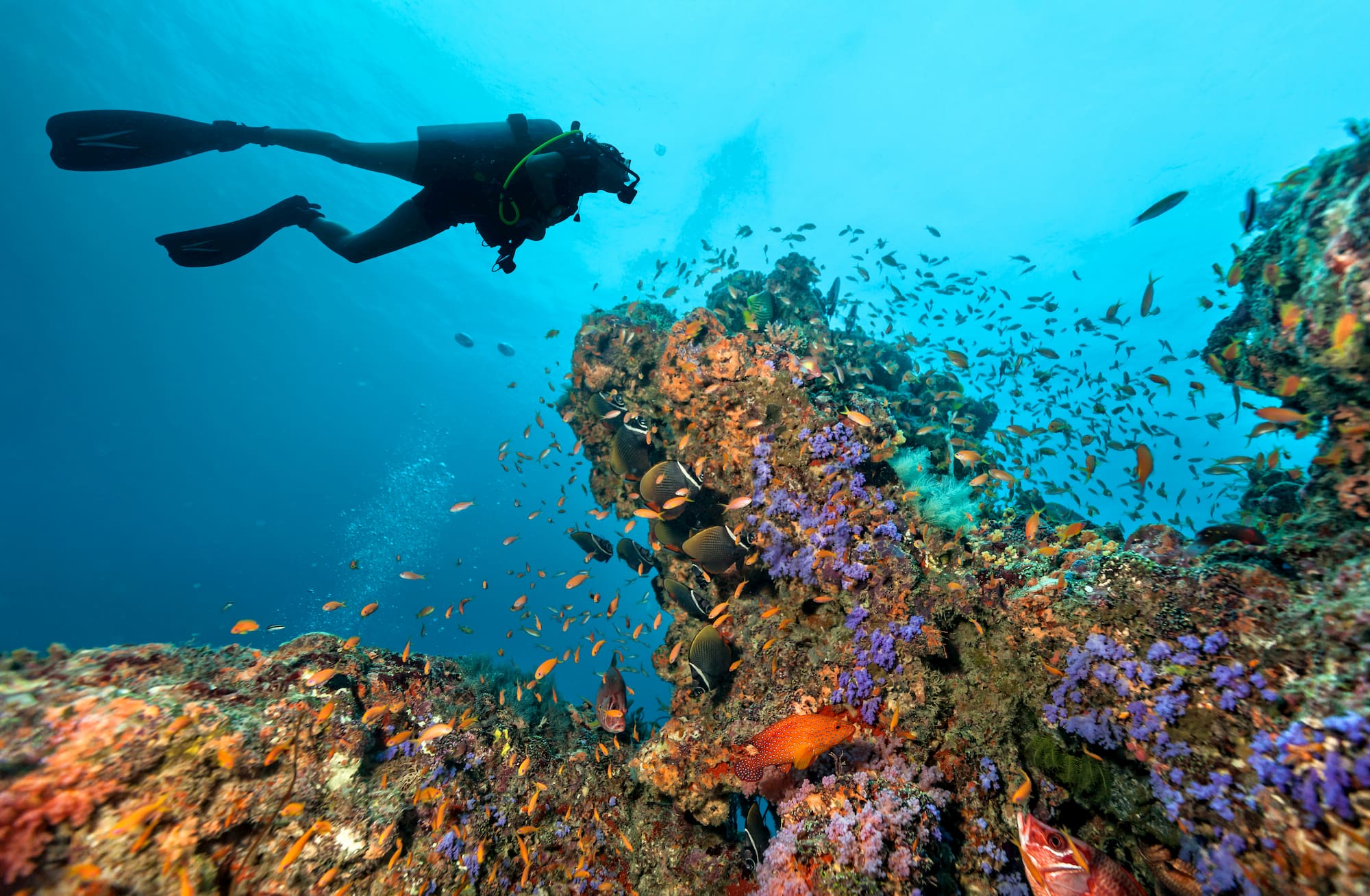 person scuba diving