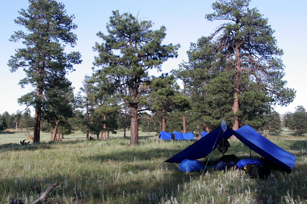 Tarp campsite in a tall grass field.