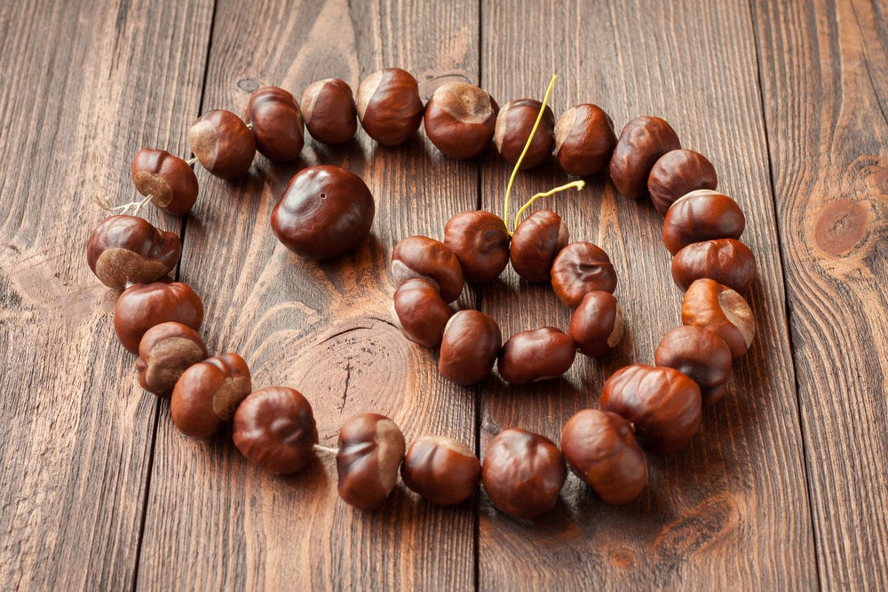 a bracelet made out of chesnuts on a table