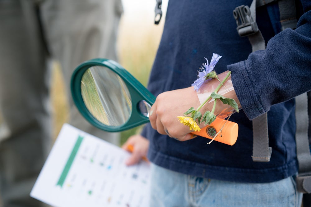 a child holds a paper and a magnifying glass in the outdoors