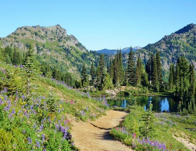 Wenatchee National Forest Is The Pnw Paradise You 39 Ve Dreamt Of