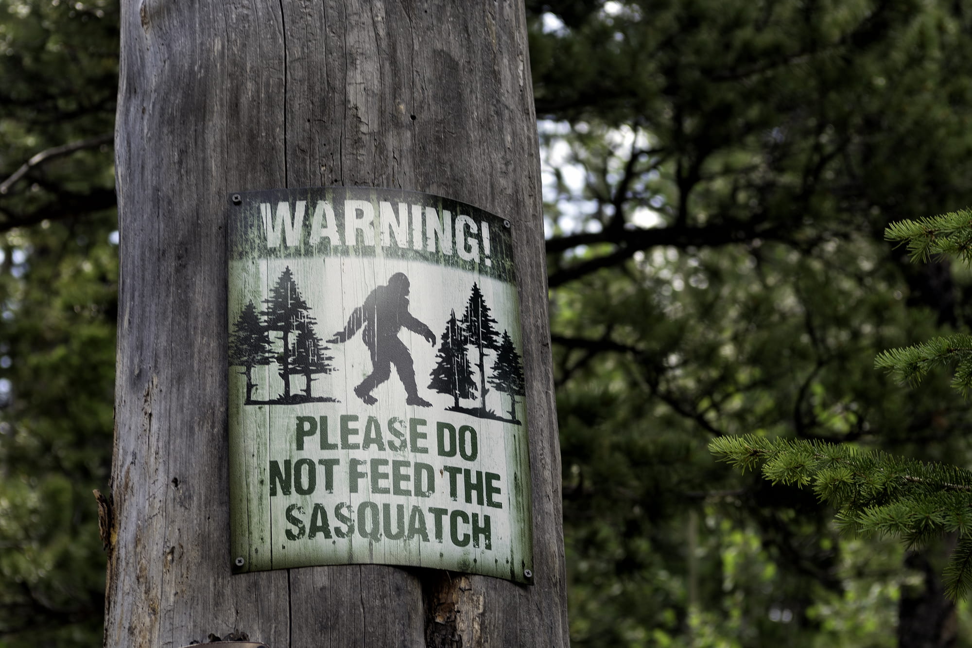 a sign warning of a sasquatch in the area