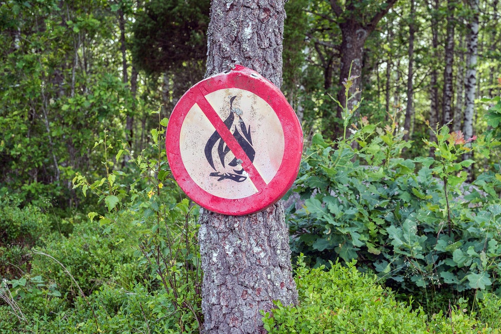 a sign banning fires nailed to a tree