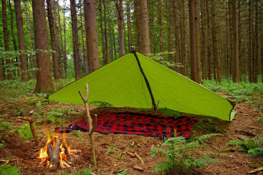 Lean to style tarp over flannel blanket in the forest.