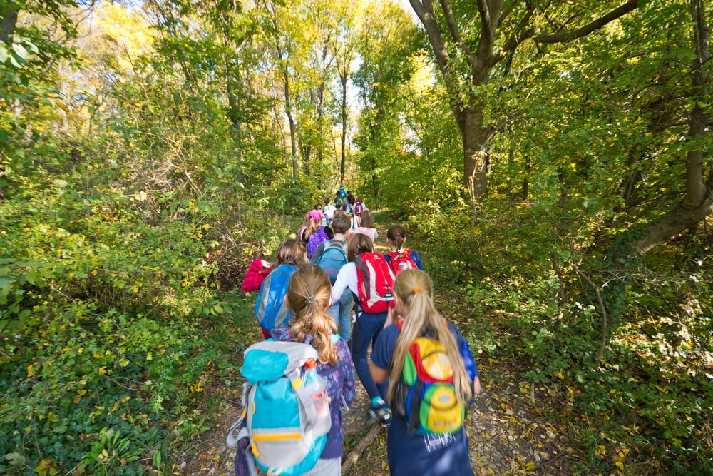 a group of kids walking through the woods