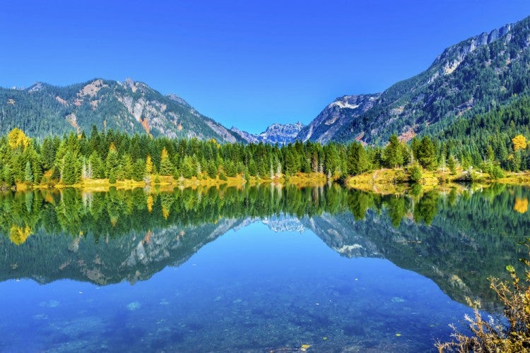 Wenatchee National Forest is the PNW Paradise You've Dreamt Of