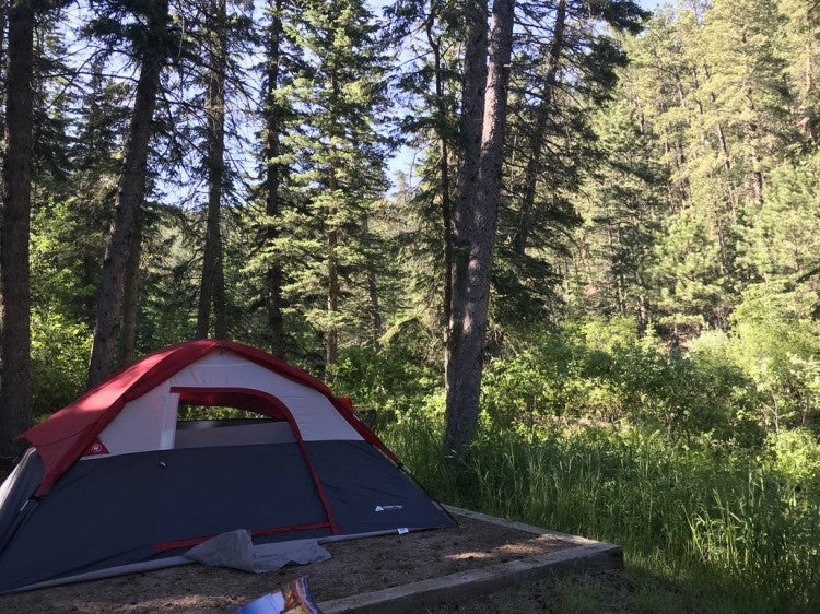 Black Hills Camping 11 Campgrounds in This Unique South Dakota Forest