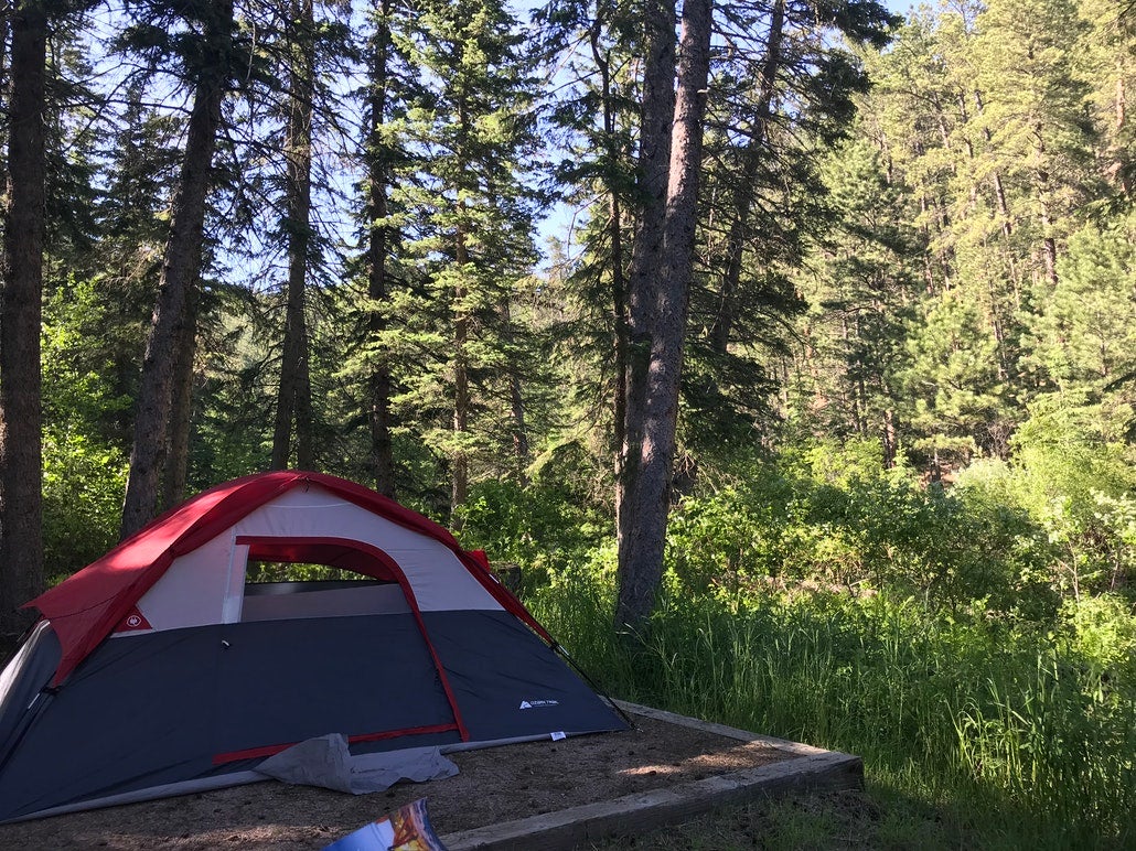 Black Hills Camping: 11 Campgrounds in This Unique South Dakota Forest