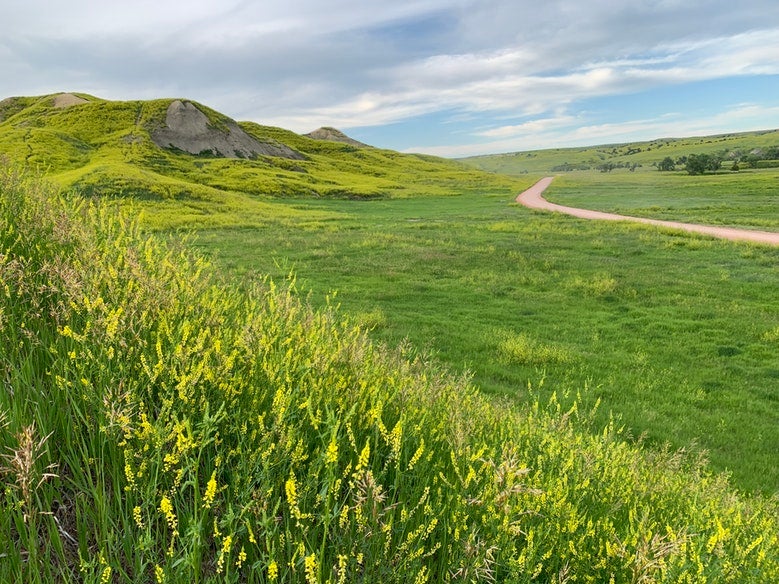 path winds through large green field near Sage Creek Campground in South Dakota, photo from a camper on The Dyrt