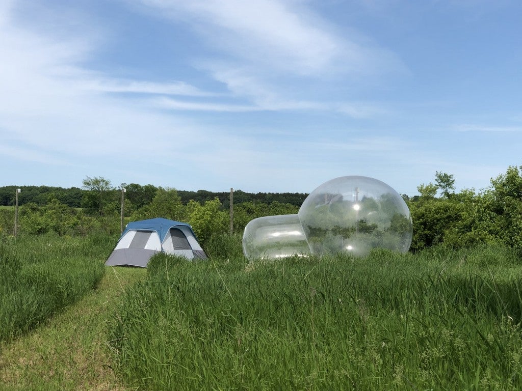 a bubble tent in a field