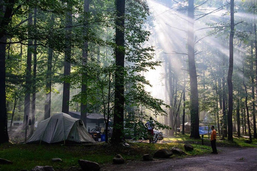 rays of light shine down over tent campsites in Tennesee's Elkmont campground, photo from a camper on The Dyrt