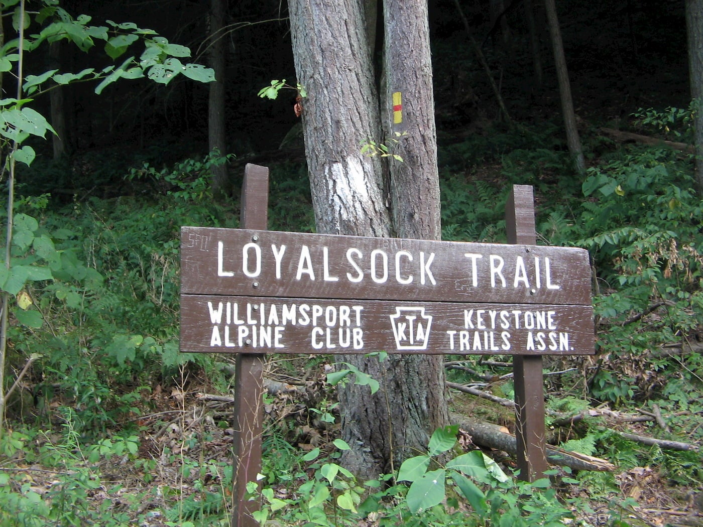 Loyalsock trailhead sign.