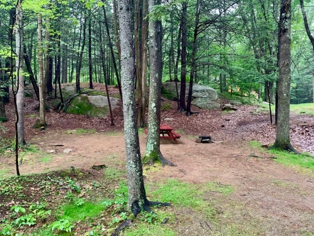 20 Maine Coast Campgrounds for a Seaside Camping Trip