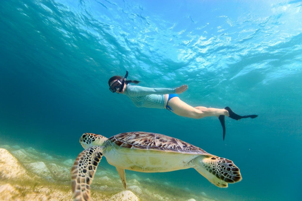 Woman snorkeling with sea turtle