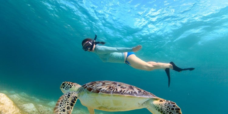 Woman snorkeling with sea turtle