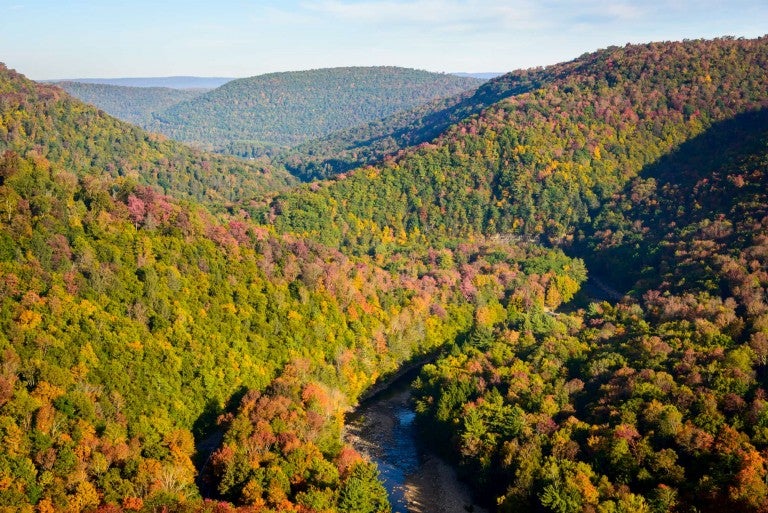 Hike Your Way to the “World’s End” on Pennsylvania’s Loyalsock Trail