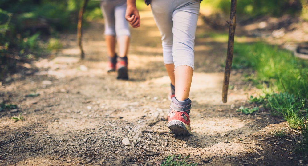 Kids hiking with walking sticks along a forest trail.