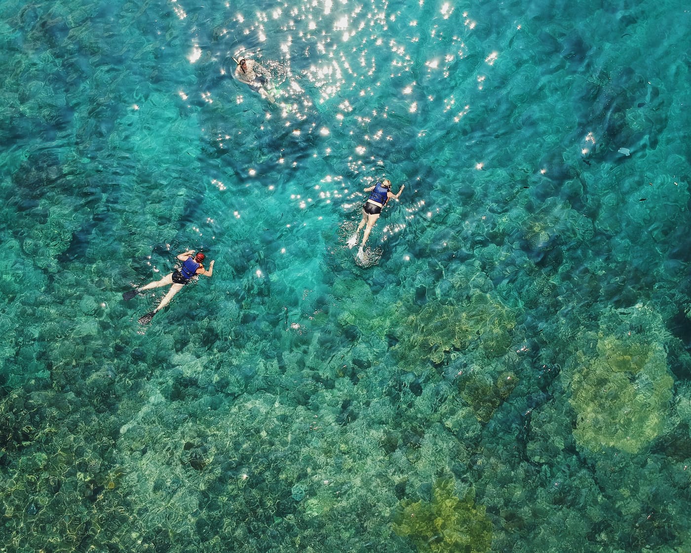 3 snorkelers swimming above a coral reef.