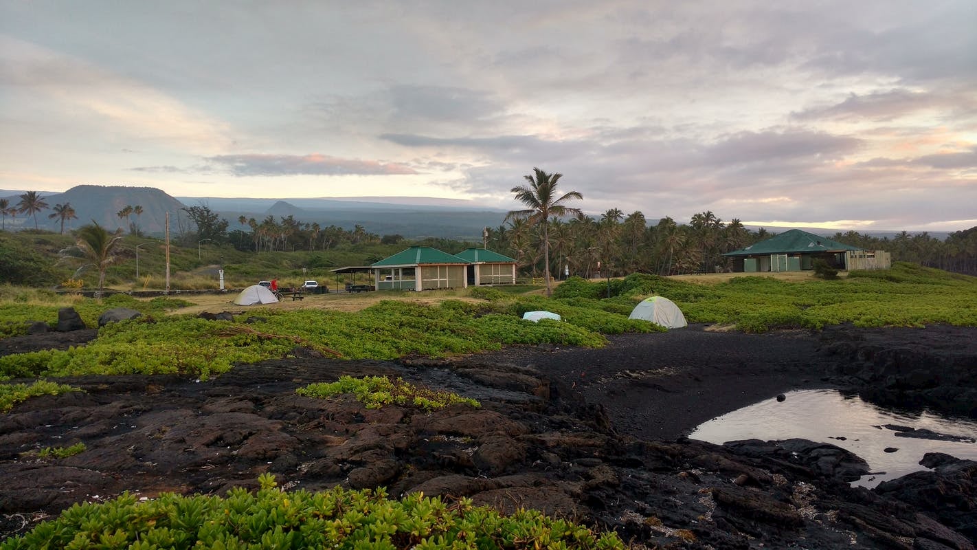 Tents setup in field of lava rock and brush surrounded by palm trees.