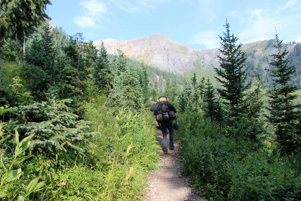 Backpacker walking through the forests in the backcountry of Colorado,