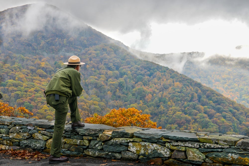 Park ranger overlooking a valley.