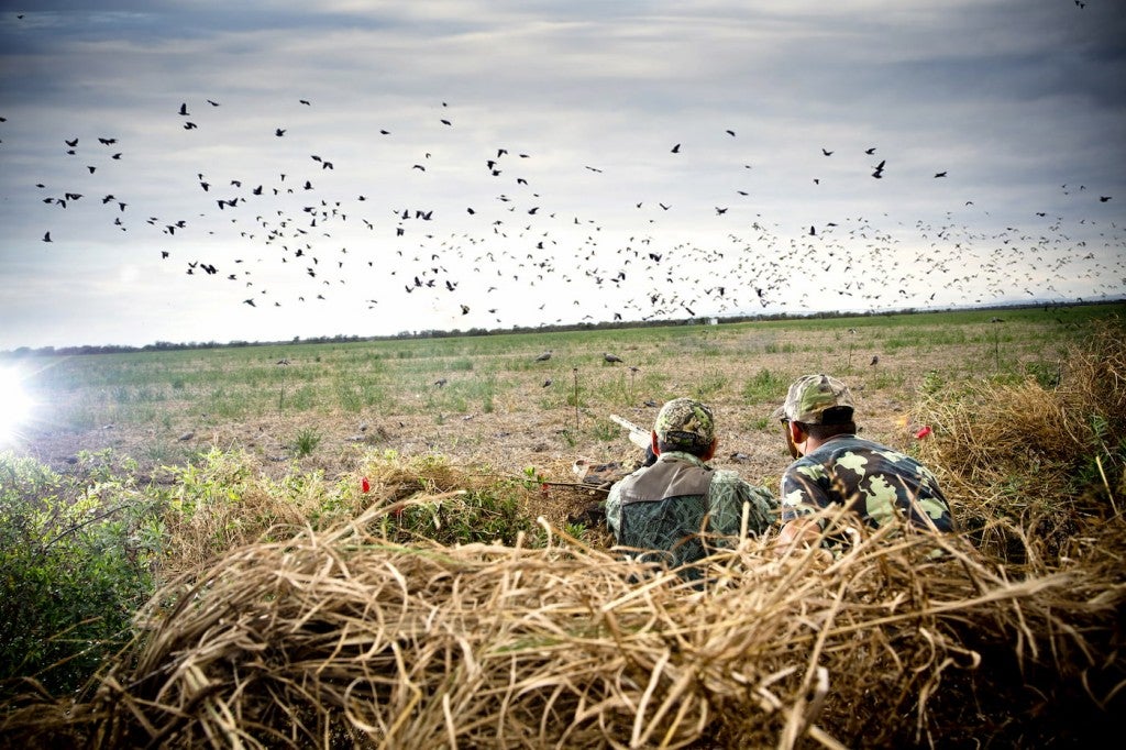 Hunters crouching a field below a flock of birds.