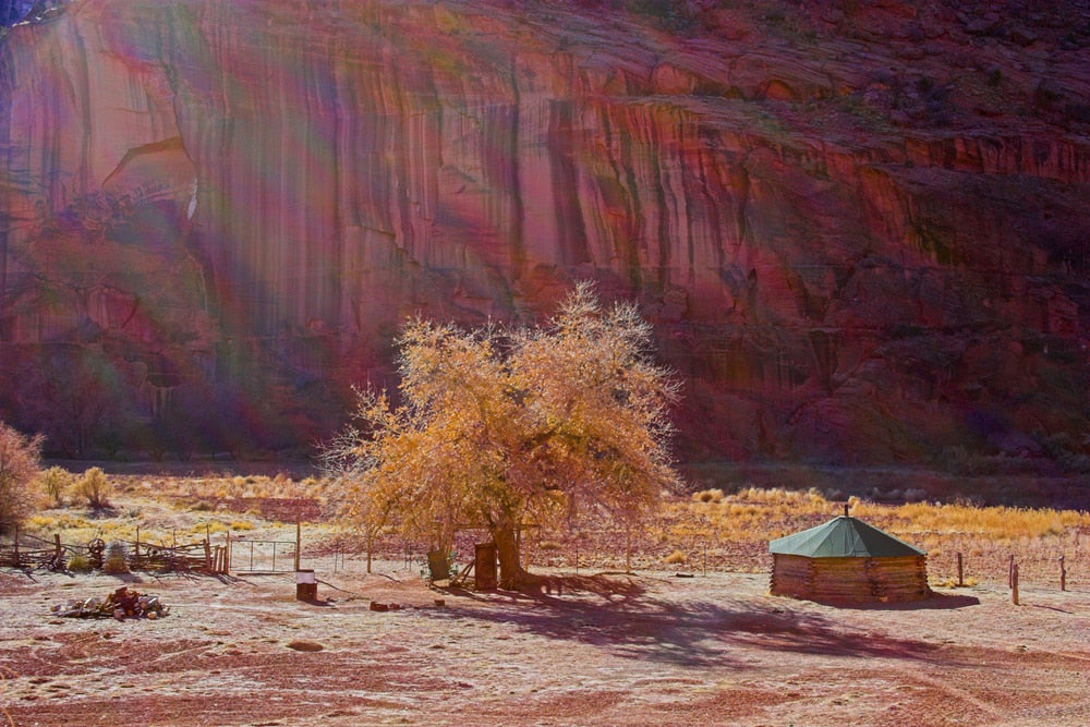 Native American hogan beside a tree in Canyon de Chelly,.