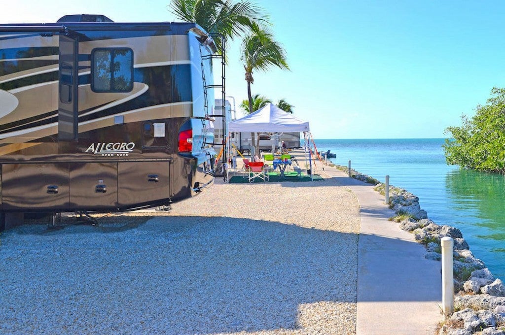 RVs parked along tropical seashore.