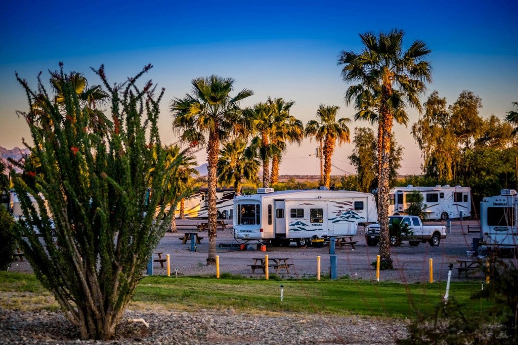 RV park in Arizona desert surrounded by palm trees.