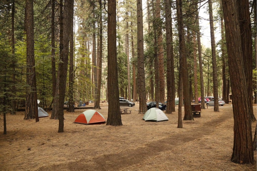 a campground in yosemite national park