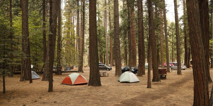 a campground in yosemite national park