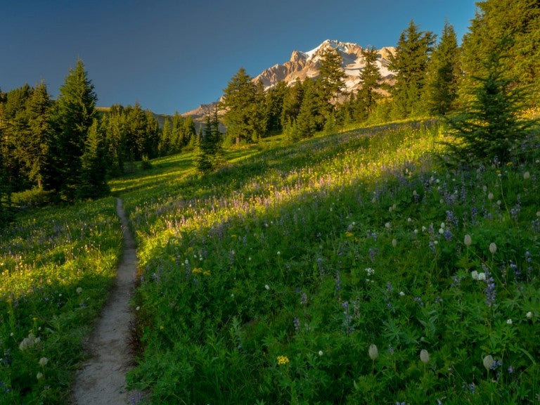 9 Stunning Backpacking Trips in the U.S. You Should Know About - Shutterstock 546127879 1 768x576