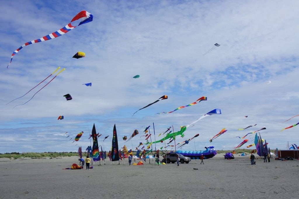kites flying on the beach in washington