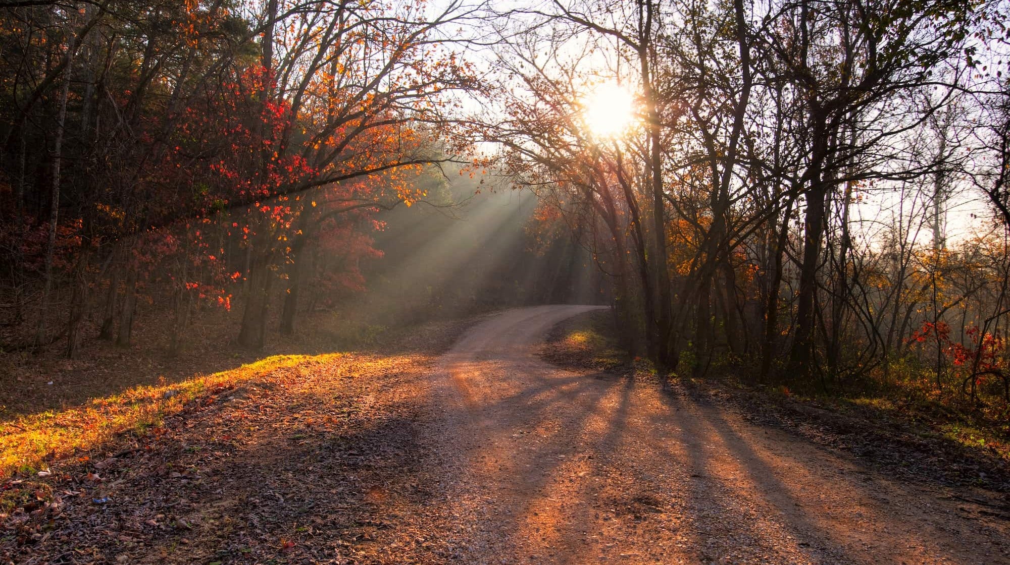 8 Campgrounds In Missouri S Expansive Mark Twain National Forest