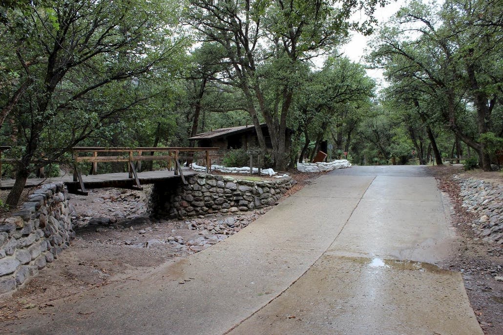 road and bridge at Bonita Canyon campground