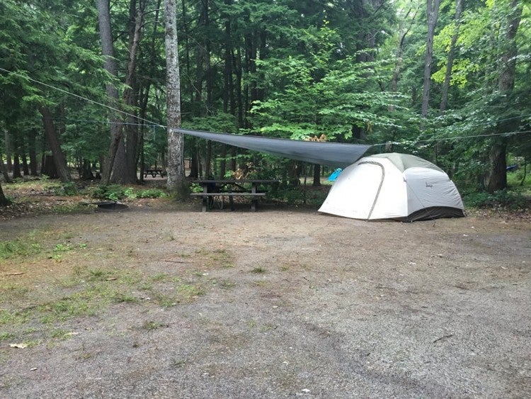 Camping in Portland, Maine at Sebago Lake State Park