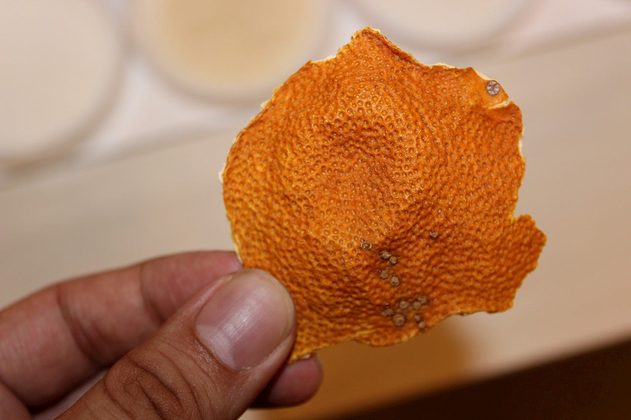 hand holding dried orange peel