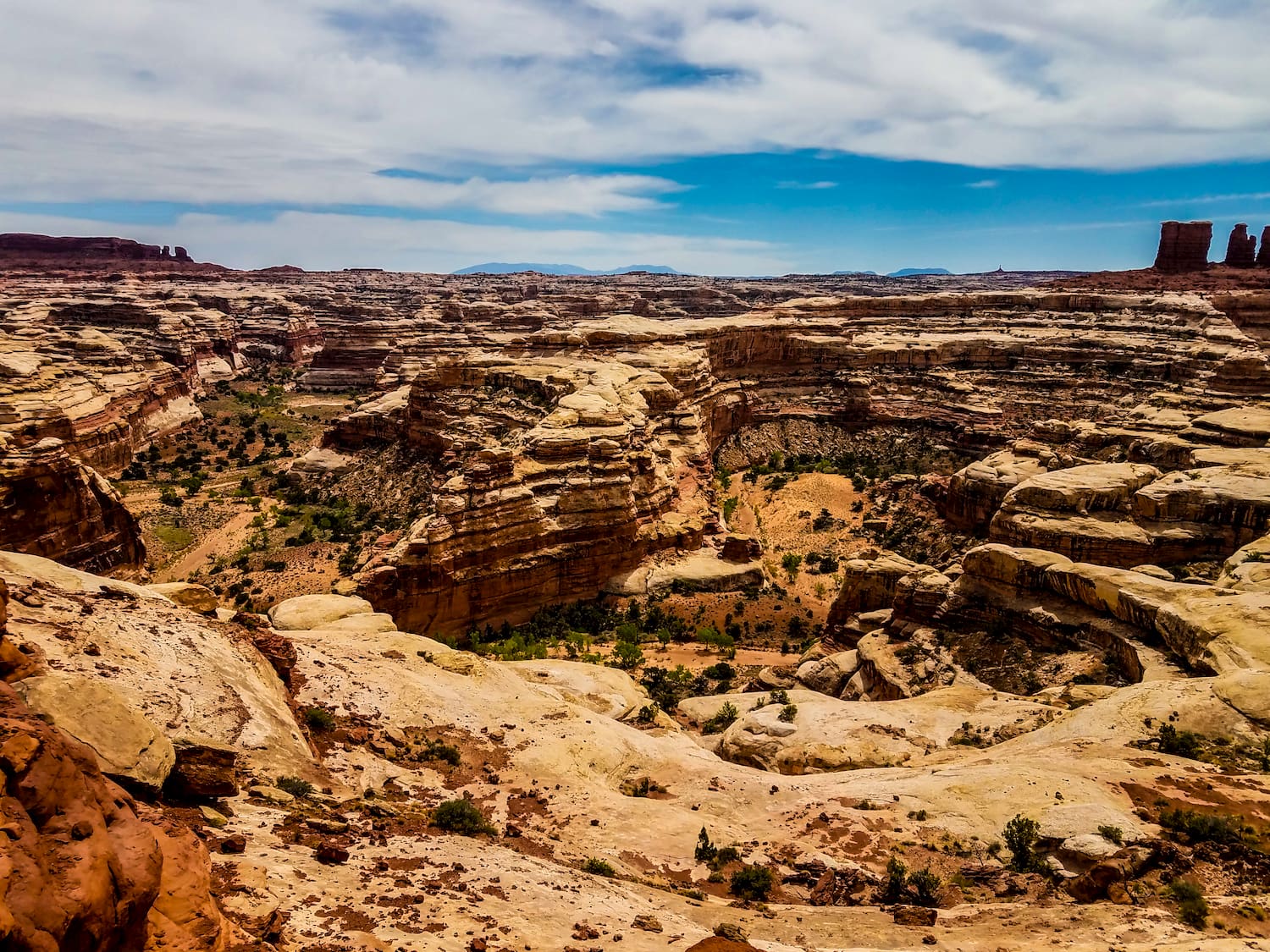 overlook into canyon of Maze Overlook Trail