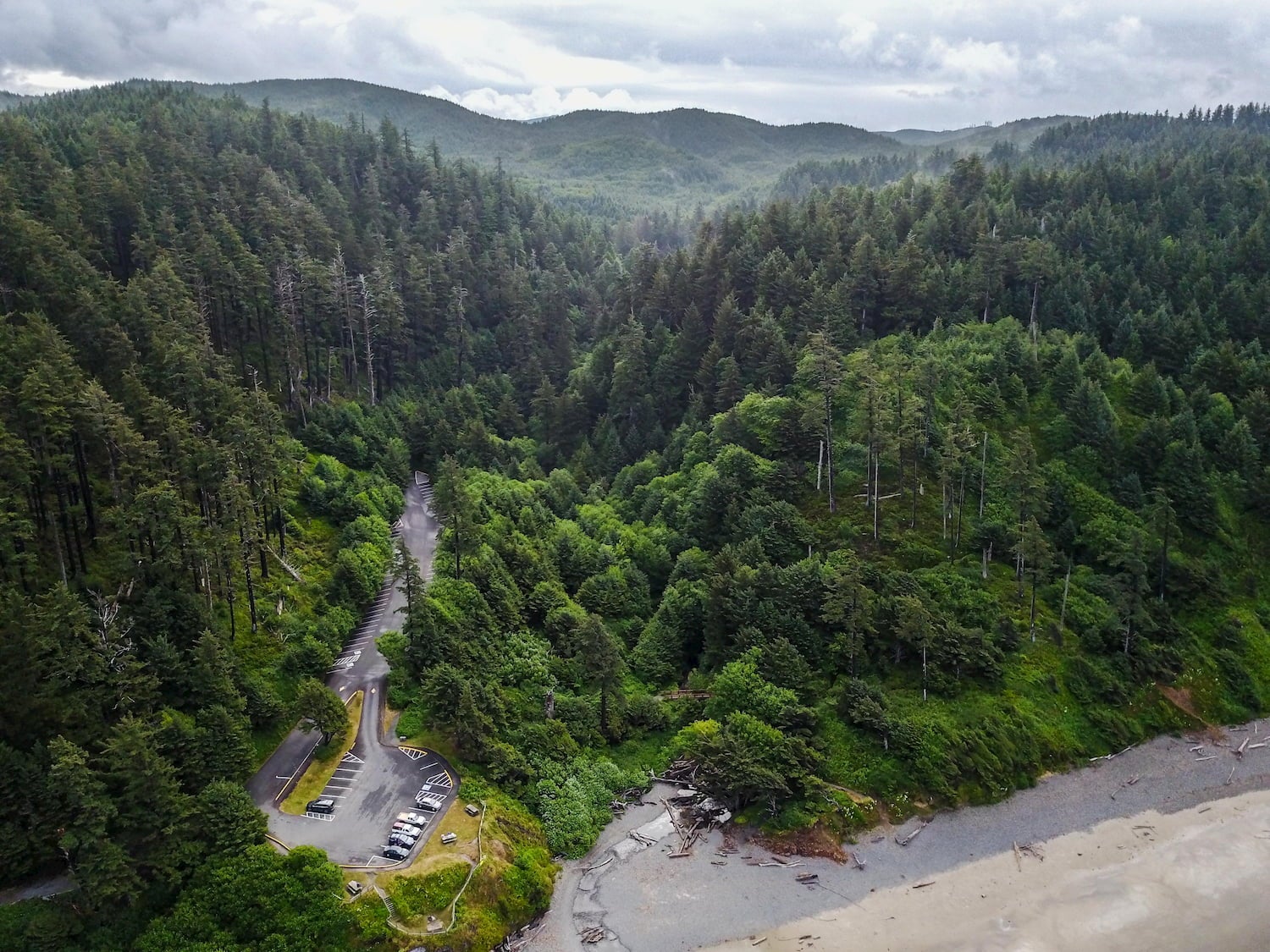 Aerial drone photo of Dense green forest on the Oregon Coast. Ecola state park.