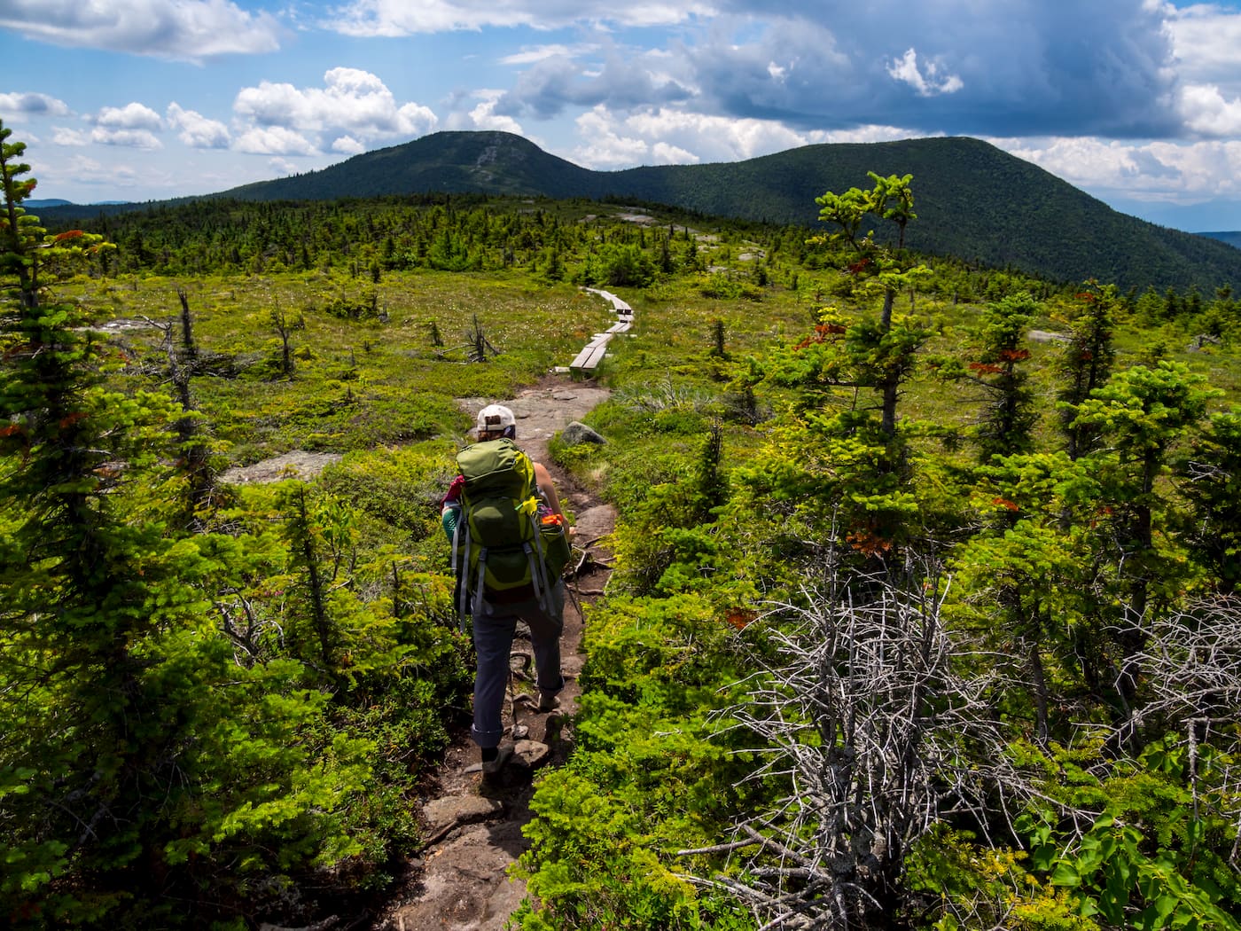 Thru Hiker with backpack and poles hiking through scrub and brush in the mountains of Maine.