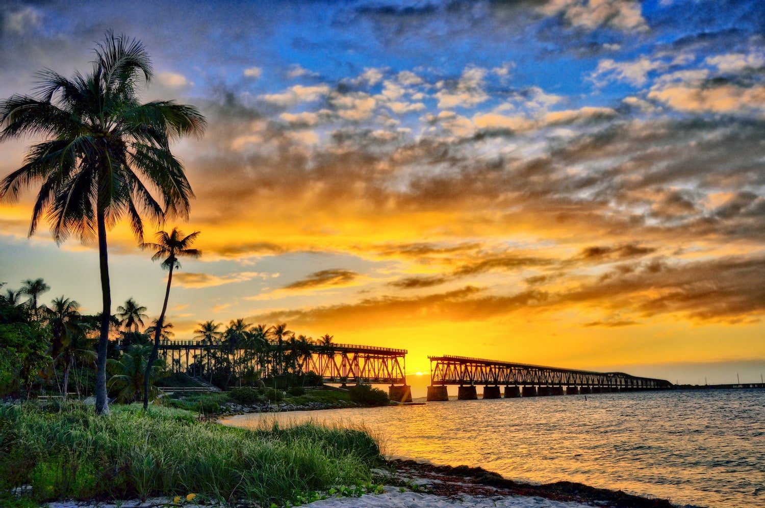 sunset of beach, pier, and palm tress at bahia honda state park