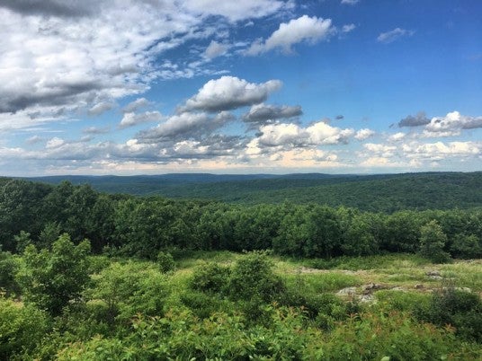 8 Campgrounds in Missouri's Expansive Mark Twain National Forest