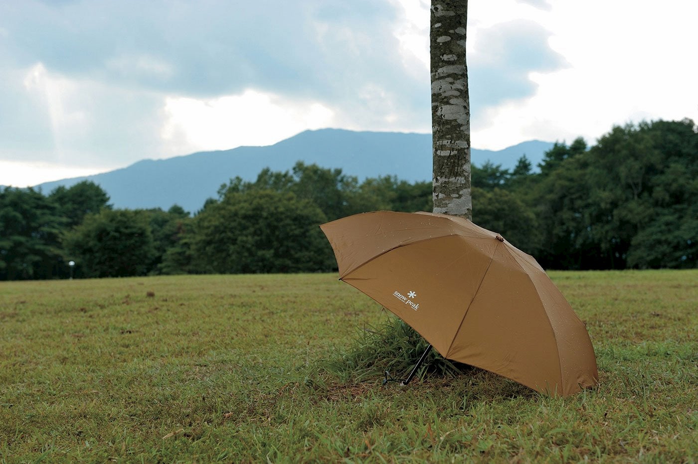 Umbrella in a field with a mountain landscape in the background.