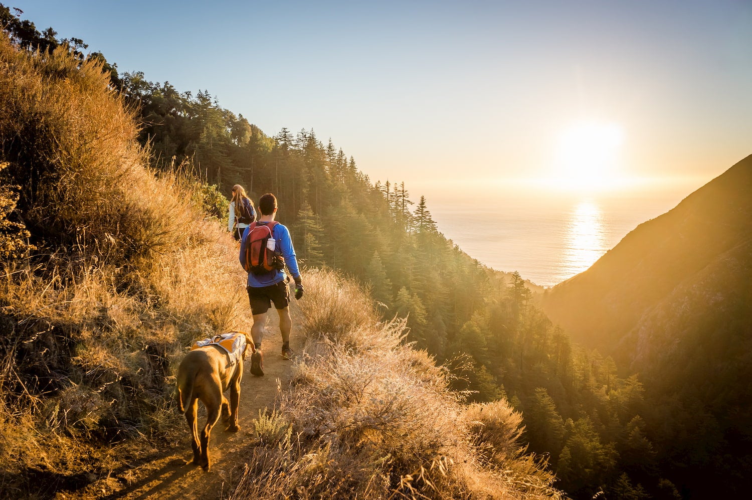 homem mulher e cachorro caminhando em Big Sur